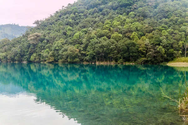 Laguna Brava (Yolnabaj) Gölü, Guatemala