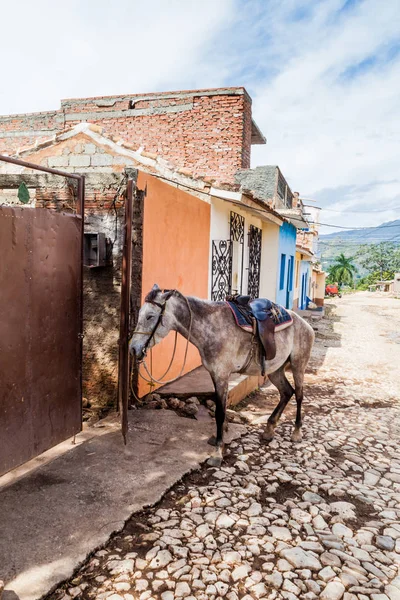 Cheval Séjournant Dans Une Rue Pavée Dans Centre Trinidad Cuba — Photo