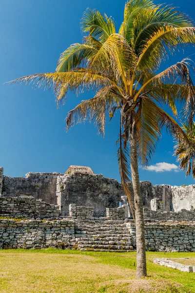 Harabeleri antik Maya kentin Tulum, Meksika