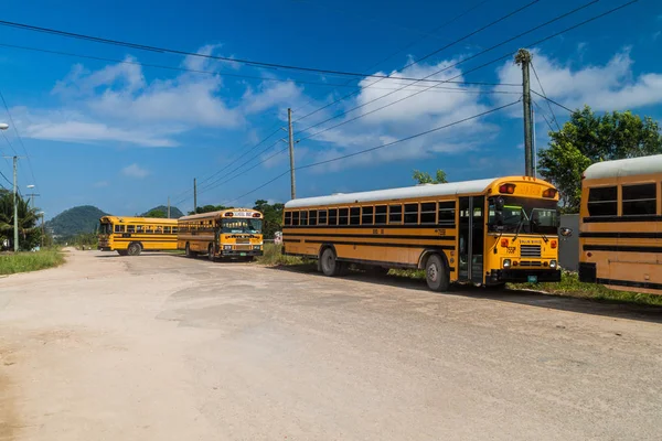 Punta Gorda Belize Marzo 2016 Vista Autobuses Locales Veces Llamados — Foto de Stock