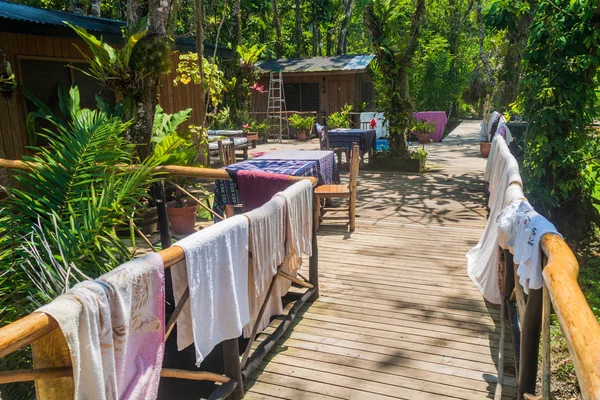 Boardwalks in the jungle lodge, Guatemala