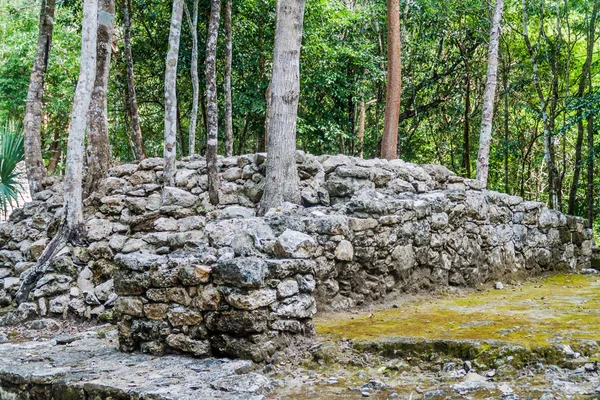 Coba Meksika Maya Şehir Kalıntıları — Stok fotoğraf