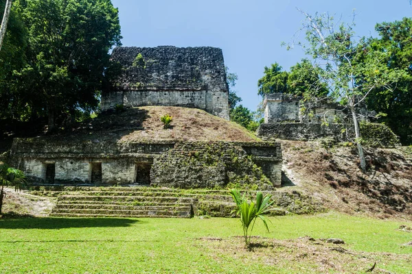 Kalesi Nde Arkeolojik Tikal Guatemala — Stok fotoğraf