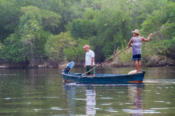Monterrico, Guatemala - 30 Mart 2016: Yaban hayatı sulak Boatmen Biotopo Monterrico-Hawaii, Guatemala rezerv