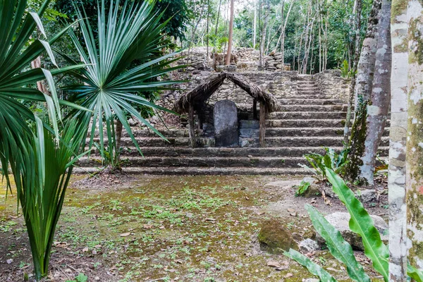 Estela Nas Ruínas Cidade Maia Coba México — Fotografia de Stock