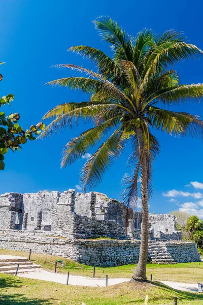 Harabeleri antik Maya kentin Tulum, Meksika
