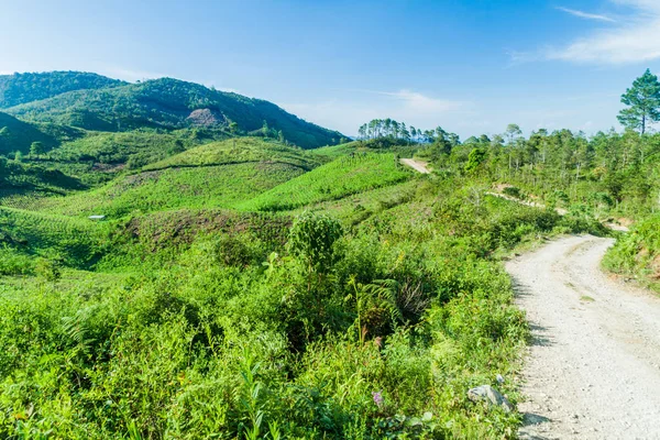 Landschaft Der Nähe Des Dorfes Yalambojoch Guatemala — Stockfoto