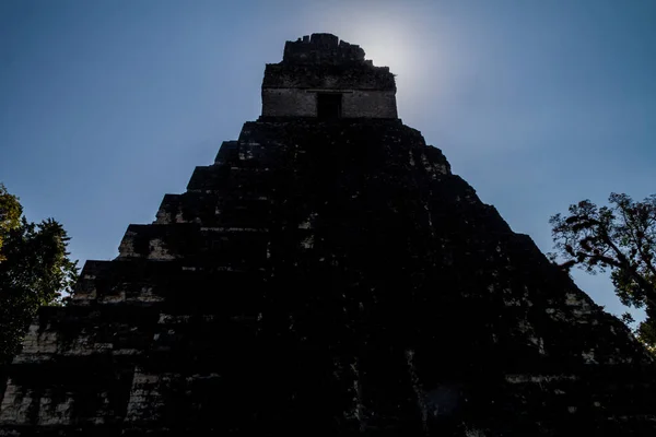 Temple Site Archéologique Tikal Guatemala — Photo