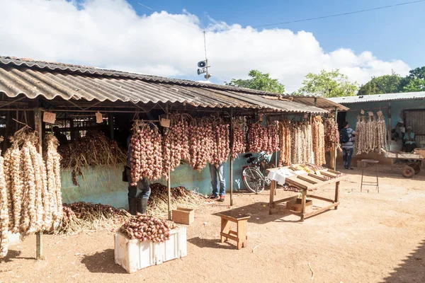 Camagüey, Cuba - 26 Ocak 2016: Sarımsak ve soğan tezgahları Camagüey, Küba'da Mercado Agropeculario (Tarım Market) Hatibonico