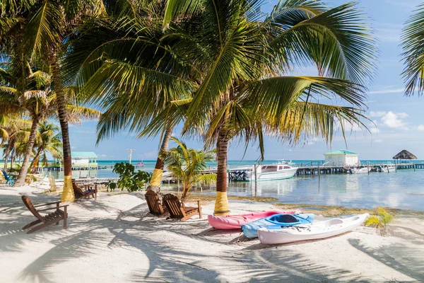 Palmy Pláže Ostrově Caye Caulker Belize — Stock fotografie