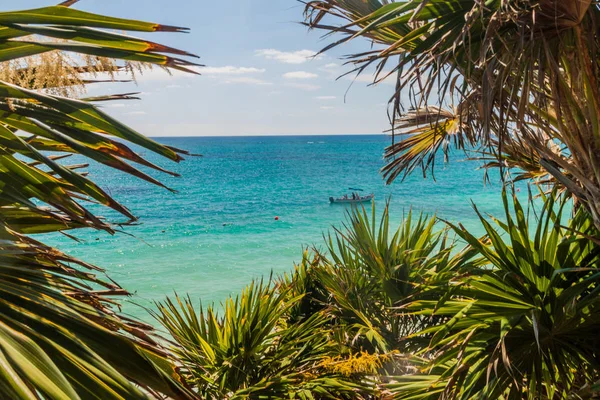 Antik Maya kentin Tulum, Meksika ruins yakınındaki Karayip Denizi