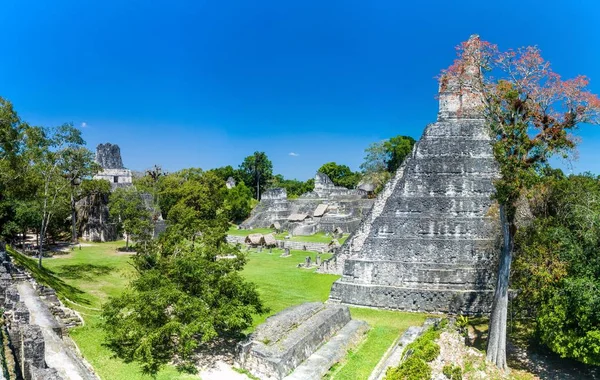 Gran Plaza arkeolojik alanında Tikal, Guatemala