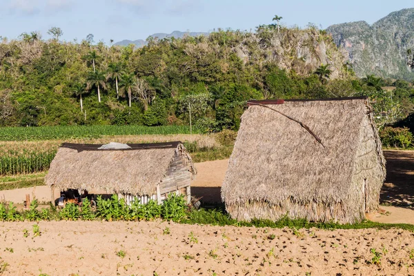 Landsbygdens Bosättningen Nära Vinales Kuba — Stockfoto
