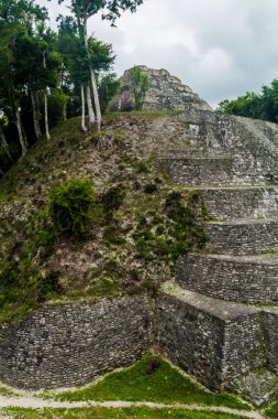 Kuzey Acropolis adlı sit alanı Yaxha, Guatemala, piramit
