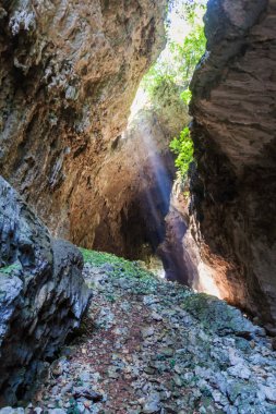 Cueva El Jardin (Bahçe mağara), Candelaria parçası karmaşık, Mucbilha Köyü, Guatemala yakınındaki mağara