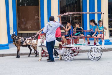Bayamo, Küba - 30 Ocak 2016: Çocuklar bir keçi Cespedes meydanında Bayamo, Küba'da tadını