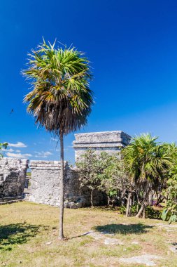 Harabeleri antik Maya kentin Tulum, Meksika