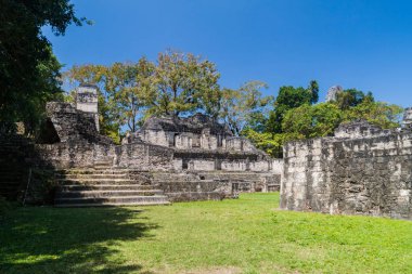 Akropolis Sur arkeolojik alanında Tikal, Guatemala