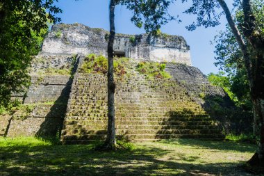  Karmaşık P arkeolojik alanında Tikal, Guatemala