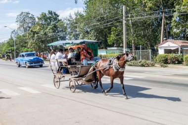 Camagüey, Cuba - 25 Ocak 2016: At arabası, Camagüey taşımacılığında ortak ortalaması