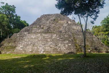 Harabe bir piramit bir arkeolojik site Yaxha, Guatemala