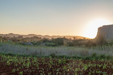 Vinales Vadisi'ne Küba arka plan üzerinde günbatımında