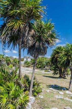 Harabeleri antik Maya kentin Tulum, Meksika