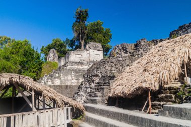 Grand Plaza arkeolojik alanında Tikal, Guatemala