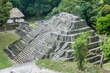 Kuzey Acropolis adlı sit alanı Yaxha, Guatemala, piramit
