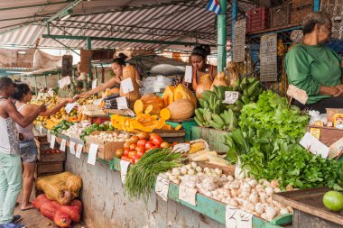 Havana, Küba - 20 Şubat 2016: Meyve ve vgetables Pazar Havana Centro mahallede.