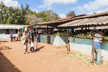 Camagüey, Cuba - 26 Ocak 2016: Meyve ve sebze tezgahları Camagüey, Küba'da Mercado Agropeculario (Tarım Market) Hatibonico