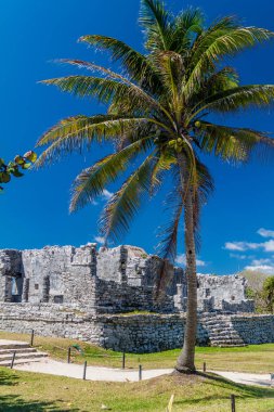 Harabeleri antik Maya kentin Tulum, Meksika