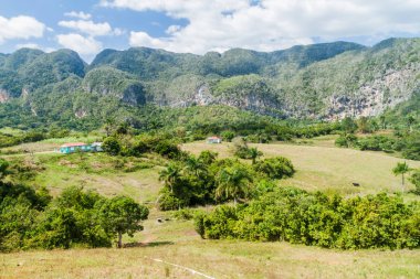 Guasasa Vadisi Vinales, Cuba yakınındaki görünümünü