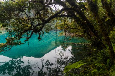 Laguna Brava (Yolnabaj) Gölü, Guatemala
