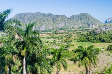 Doğal manzara Vinales vadinin, Küba