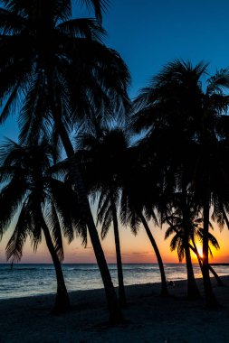 Playa Giron Köyü, Küba Beach'te akşam.