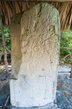 Stela arkeolojik alanında Tikal, Guatemala