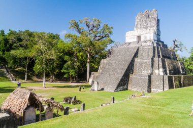 Tikal, Guatemala - 14 Mart 2016: Grand Plaza arkeolojik Tikal, Guatemala, turist ziyaret
