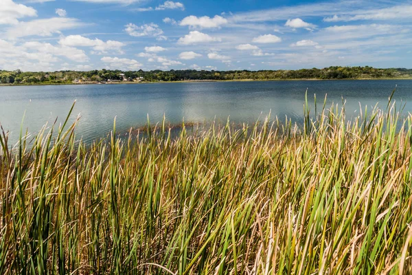 Laguna Coba Gölü Coba, Meksika'nın Mayan ruins yakınındaki