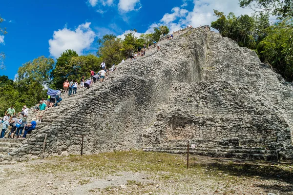Coba, Meksika - 1 Mart 2016: Turizm tırmanma piramit Nohoch Mul Coba, Meksika Maya şehir kalıntıları