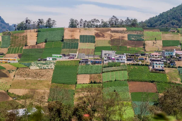 危地马拉 Zunil 村附近的蔬菜田 — 图库照片