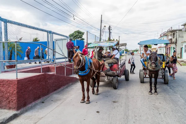 Cienfuegos, Cuba - 12 Şubat 2016: Cienfuegos, Cuba bir sokakta at arabası.