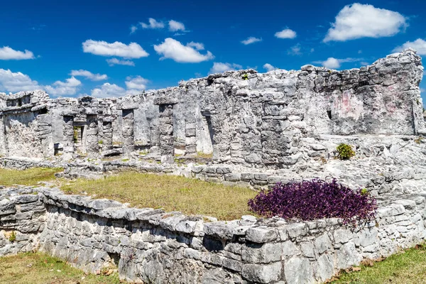 Rovine Dell Antica Città Maya Tulum Messico — Foto Stock