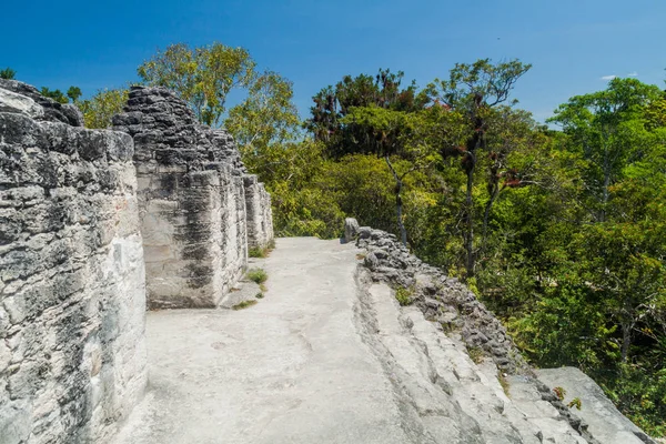 Górnej Części Świątyni Talud Tablero Archeologiczne Tikal Gwatemali — Zdjęcie stockowe