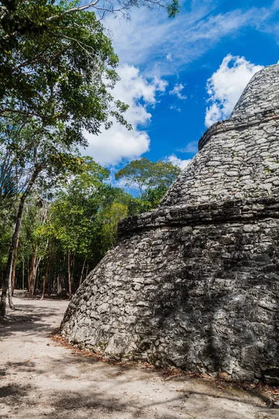 Temple Paintings Ruins Mayan City Coba Mexico — Stock Photo, Image