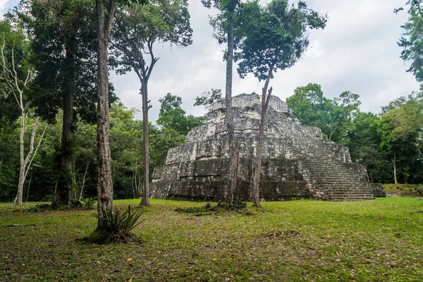 Pyramid Maler Gruppen Den Arkeologiska Platsen Yaxha Guatemala — Stockfoto