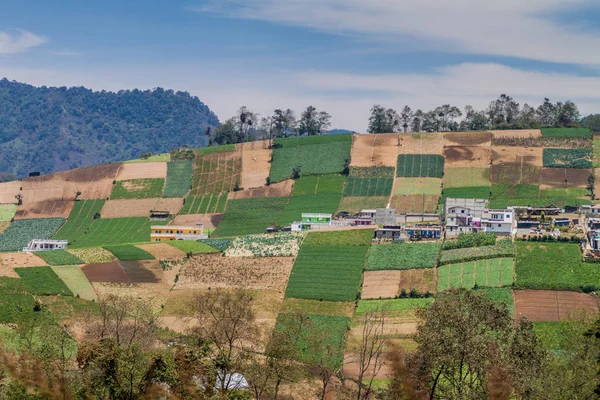 Közel Zunil Village Guatemala Növényi Mezők — Stock Fotó