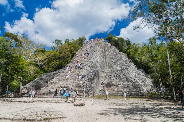 Coba, Meksika - 1 Mart 2016: Turizm tırmanma piramit Nohoch Mul Coba, Meksika Maya şehir kalıntıları