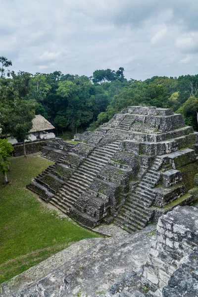 Руїни Півночі Акрополь Археологічних Розкопок Yaxha Гватемала — стокове фото