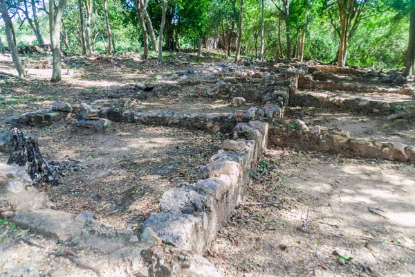 Ερείπια Του Σκλάβος Τέταρτα Του Μύλου Ζάχαρης San Isidro Los — Φωτογραφία Αρχείου